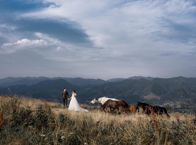 bride, groom, wedding, wedding photography, bridal gown, bridal dress, couple, pair, together, love, lovers, newlyweds, bridal, wedding dress, marriage, woman, fashion, dress, man, people, romantic, wife, husband, portrait, outdoors, mountains, nature, bride, wedding, wedding, wedding, wedding, wedding, wedding photography, wedding dress