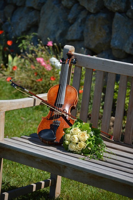 violin, bridal bouquet, violin, violin, violin, violin, violin